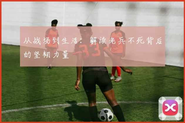 从战场到生活：解读老兵不死背后的坚韧力量